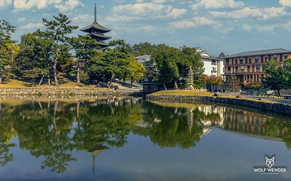 Content-Erstellung - SEO-optimierte Inhalte die ranken